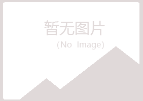 铁岭银州夏青金属有限公司